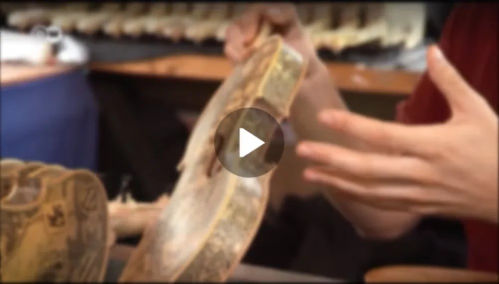 Illustrated violins by Leonardo Frigo